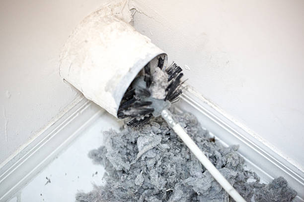 Best Affordable Duct Cleaning Services  in Waconia, MN